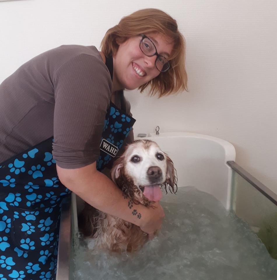 spa chien Evreux – balnéothérapie Evreux – soin naturel spa chien Evreux - balnéothérapie Evreux - soin naturel
